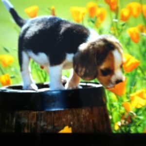 Meet your Posher, Tammy